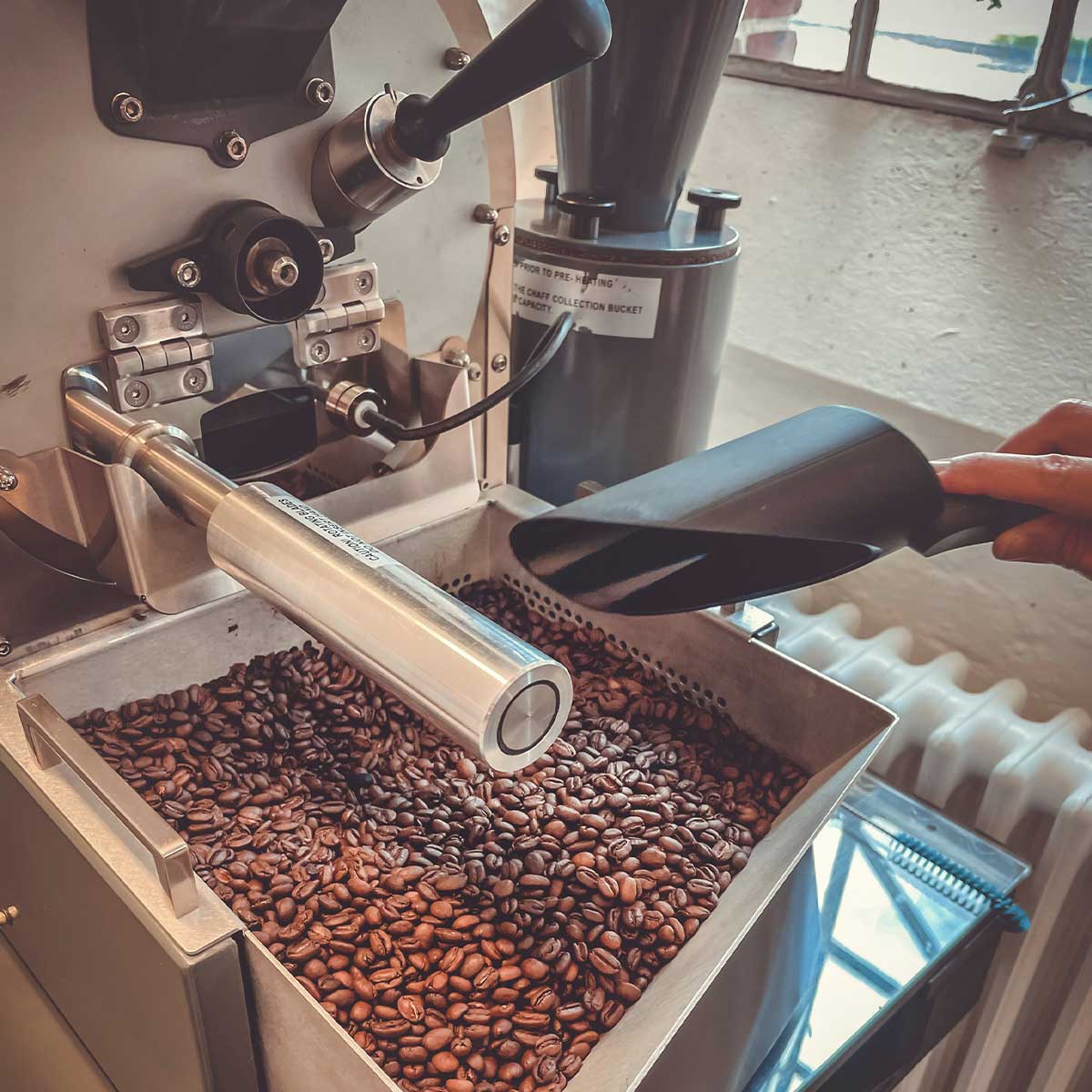 kaffebønner i maskine til at riste dem
