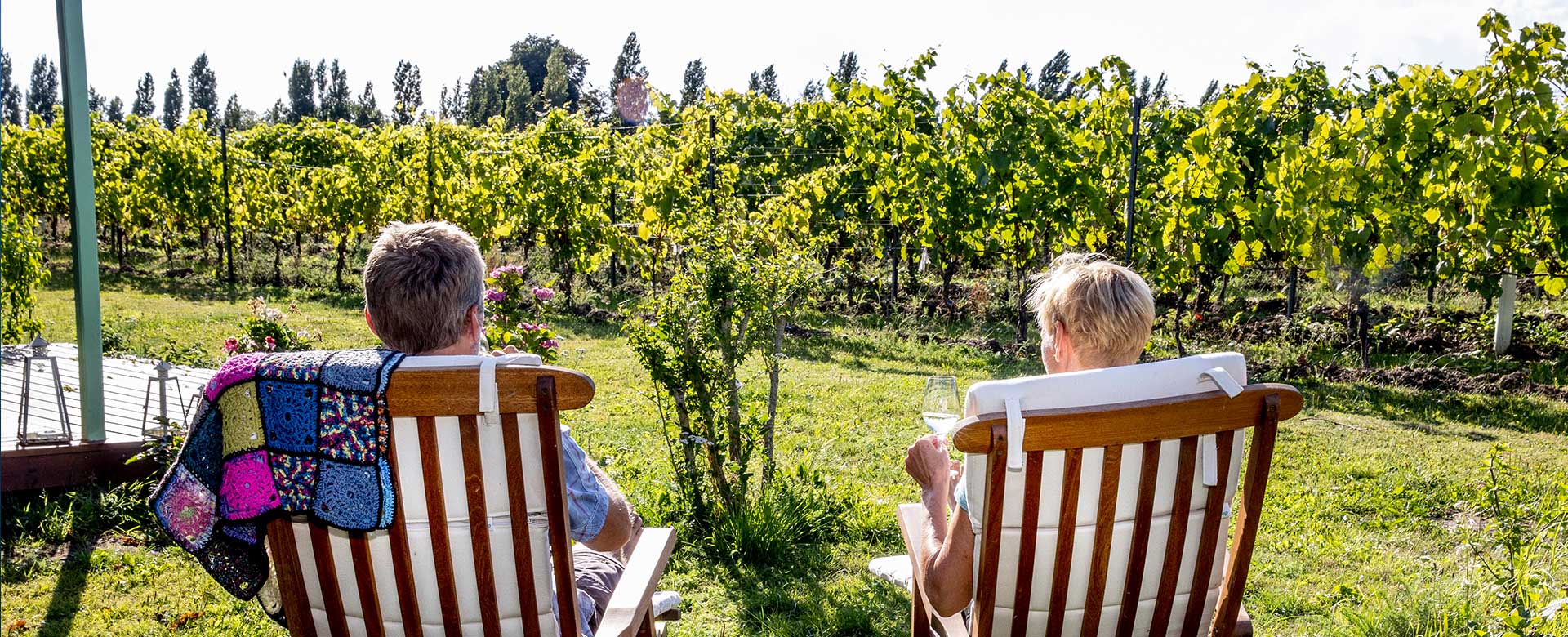 To mennesker i solstole foran vinmark