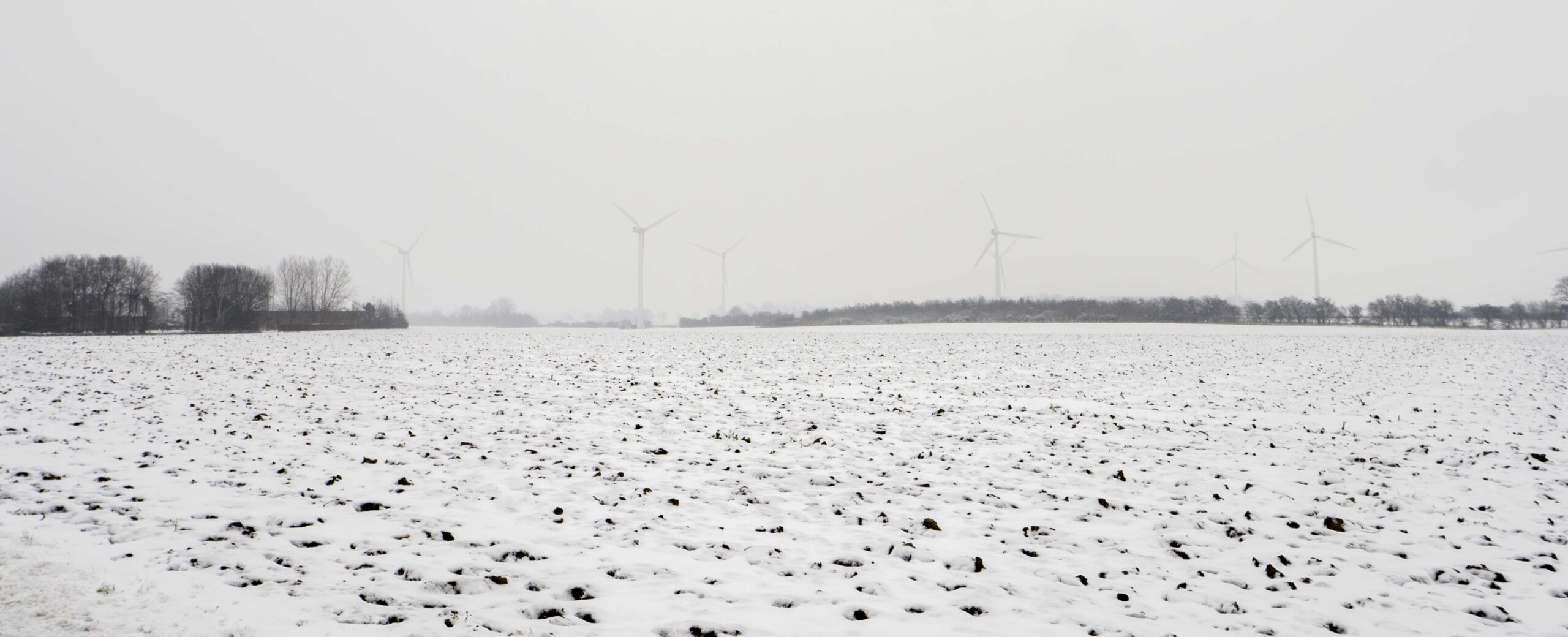 Vinter på Lolland med vindmøller på snedækket mark